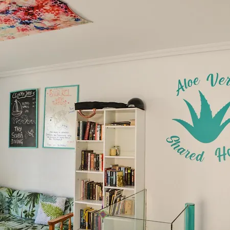 Vandrarhem Aloe Vera Shared House *