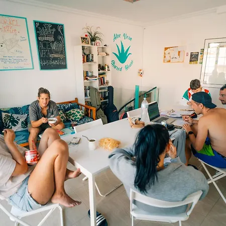 Aloe Vera Shared House * Эль-Медано