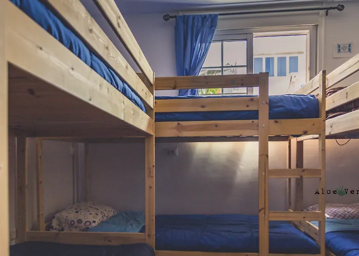 Хостел Aloe Vera Shared House Эль-Медано