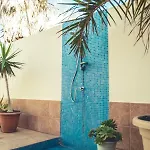 Aloe Vera Shared House
