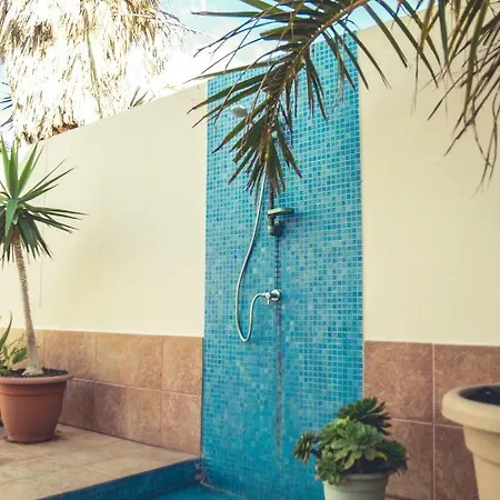 Aloe Vera Shared House