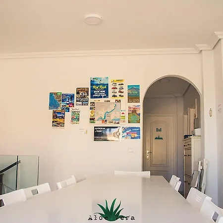 Hostel Aloe Vera Shared House