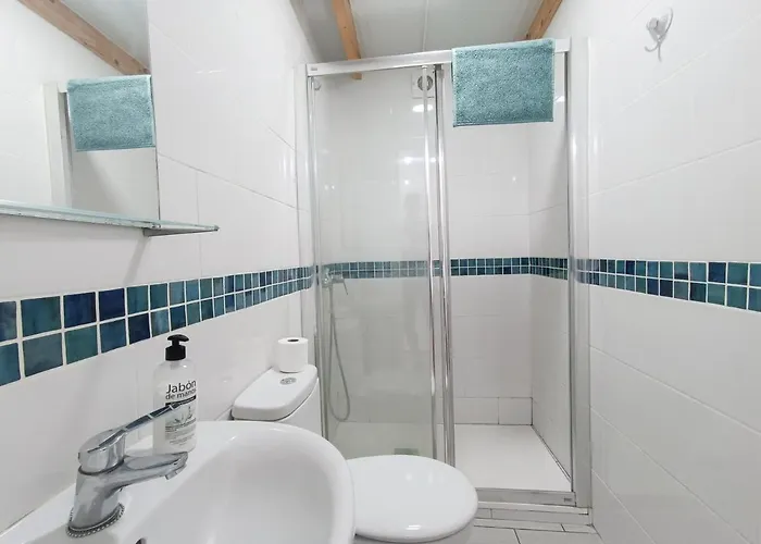 Aloe Vera Shared House *