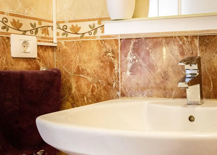 Aloe Vera Shared House