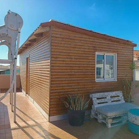 Hostel Aloe Vera Shared House *