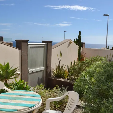 Aloe Vera Shared House