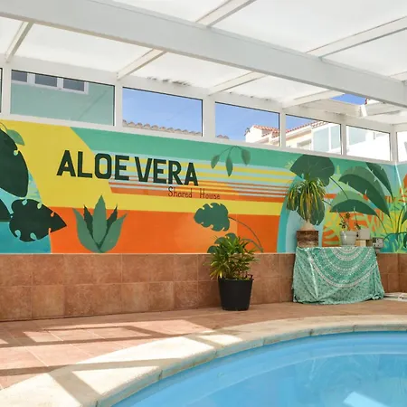 Aloe Vera Shared House بيت شباب