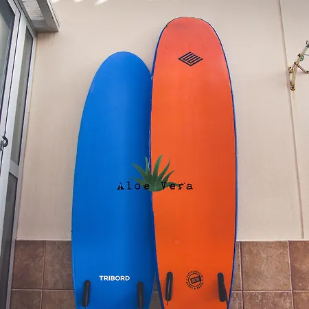 Aloe Vera Shared House بيت شباب