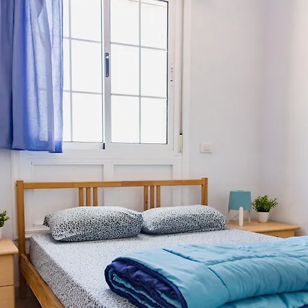 Aloe Vera Shared House *