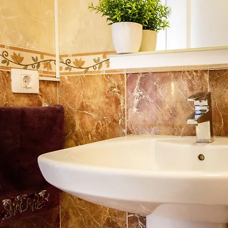 Aloe Vera Shared House