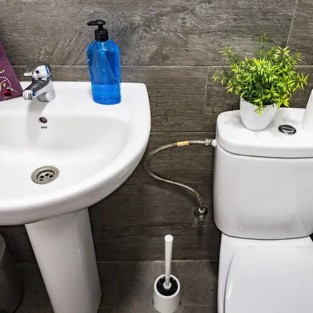 Aloe Vera Shared House *