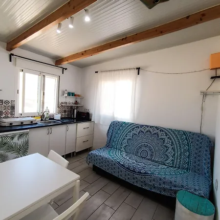 Aloe Vera Shared House