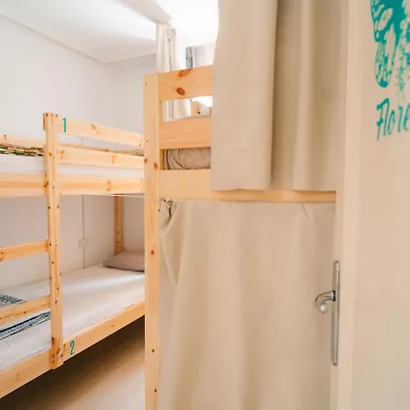 Hostal Aloe Vera Shared House *