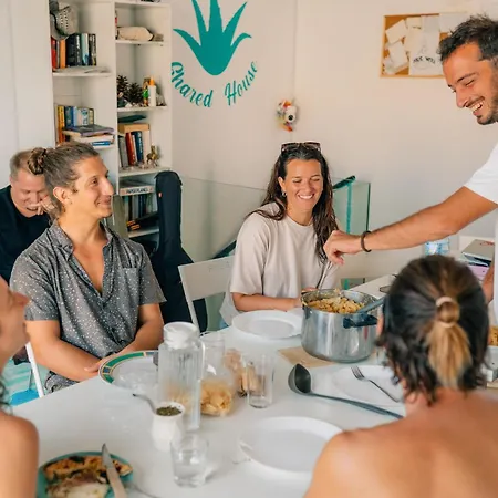 Hostel Aloe Vera Shared House *