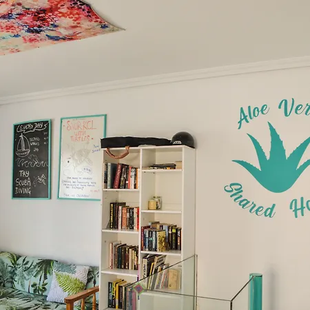 Aloe Vera Shared House Hostal *