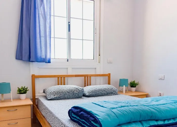 Hostal Aloe Vera Shared House *