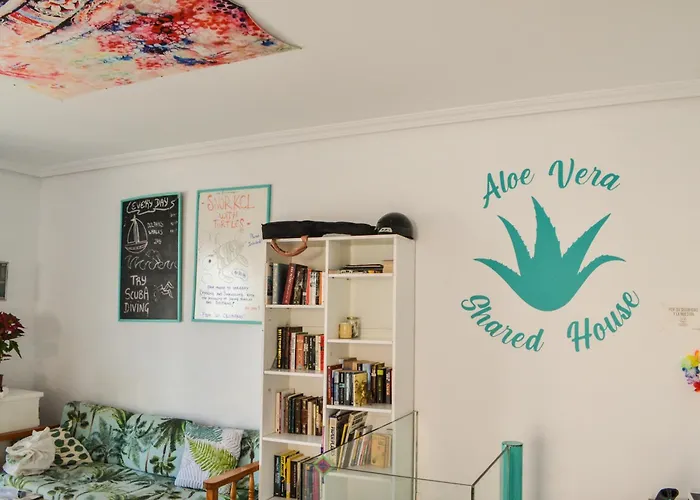 Hostel Aloe Vera Shared House *