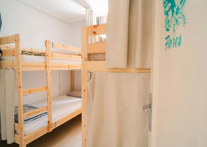 Hostal Aloe Vera Shared House *