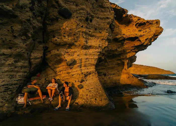 Hostel Aloe Vera Shared House *