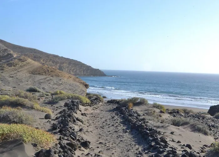 Aloe Vera Shared House