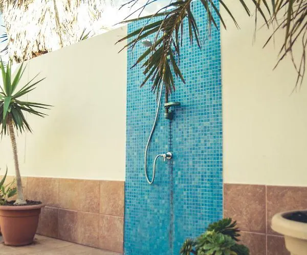 Aloe Vera Shared House